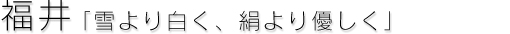 ÁuC̏鉺̐^ۂَ̉qv